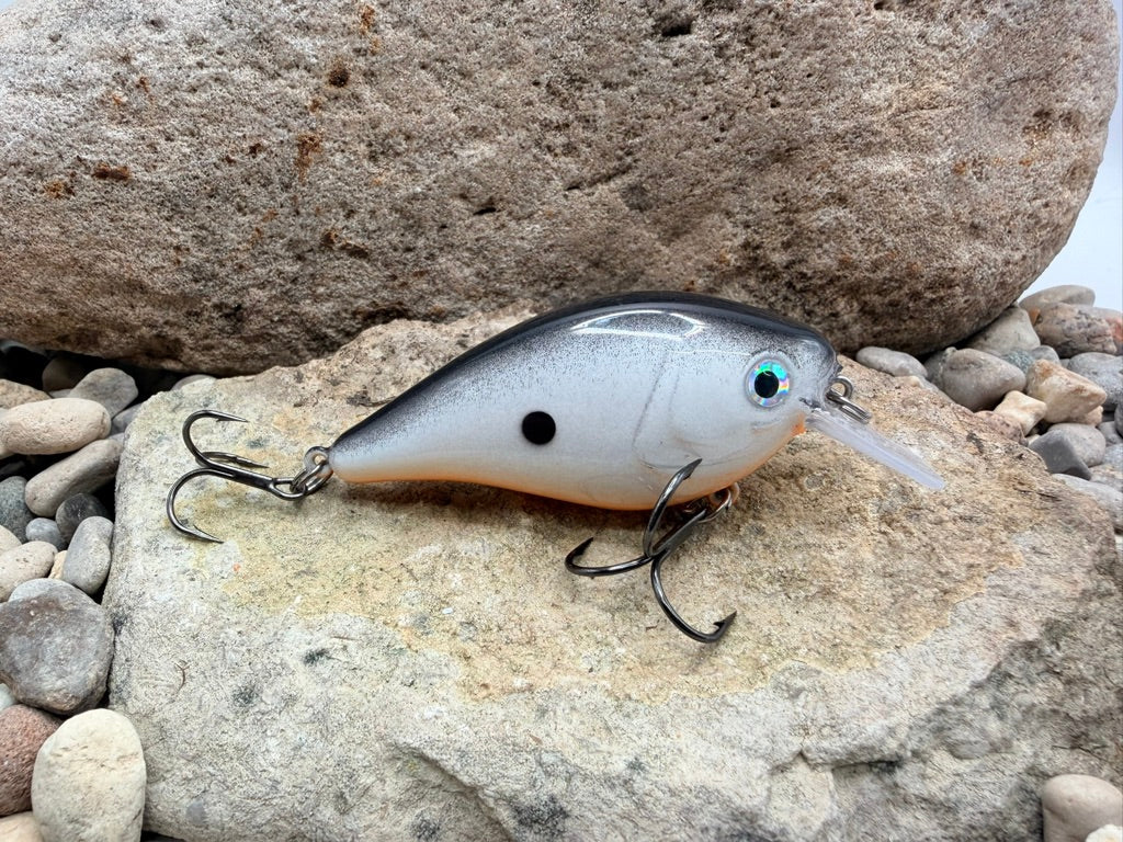 Shad 131 Square Bill 1.5