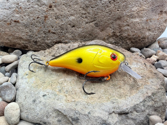 Yellow Shad 131 Square Bill 1.5