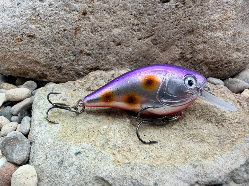 Purple D-Spot 131 Square Bill 1.5