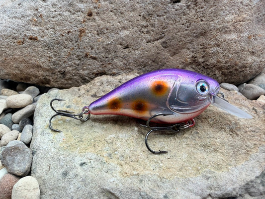 Purple D-Spot 131 Square Bill 1.5