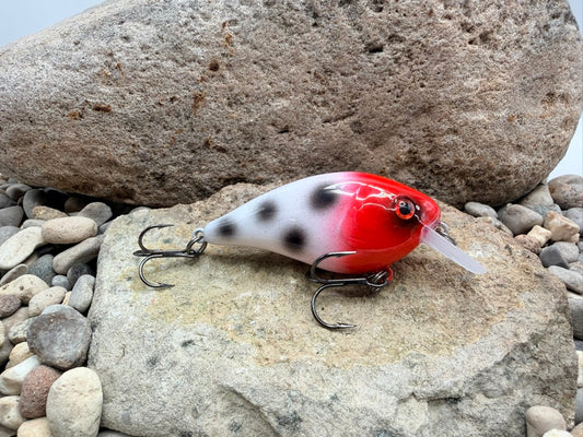 Bloody Nose 131 Square Bill 1.5