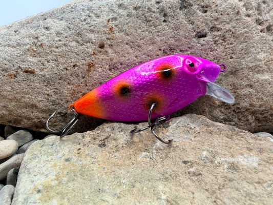 Anti-Pink Orange Tail Thin Fin