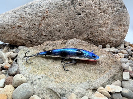 Blue Goby Berkley Finisher 10