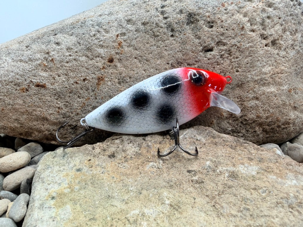 Bloody Nose Thin Fin