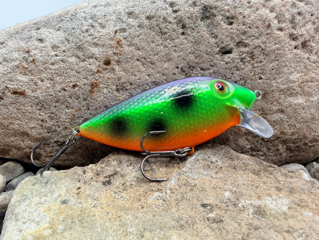 Purple Spotted Tiger Thin Fin